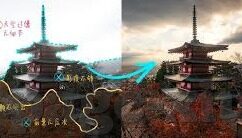 大象传媒dx永久-探索大象传媒DX永久，数字时代的文化传播新篇章